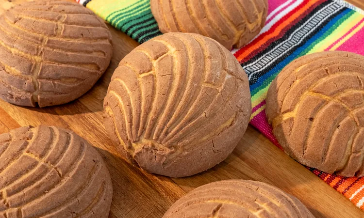 Concha Chocolate